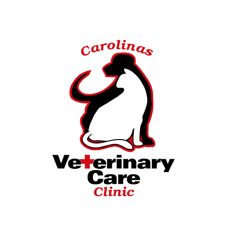 Pet doctors sales northcross